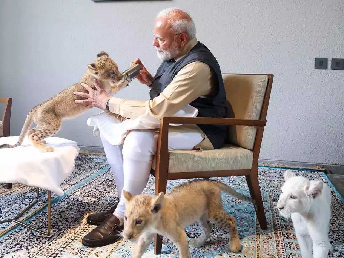 अंबानी के जंगल में मोदी